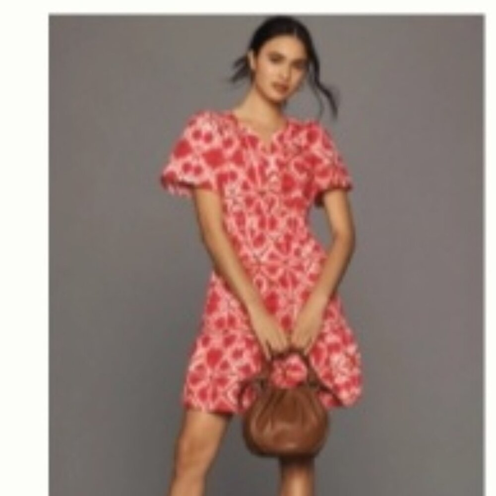 Anthropolgie:  Somerset Mini Dress